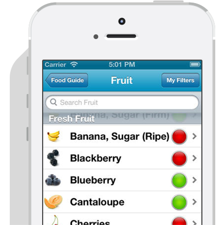 monash low fodmap diet pdf